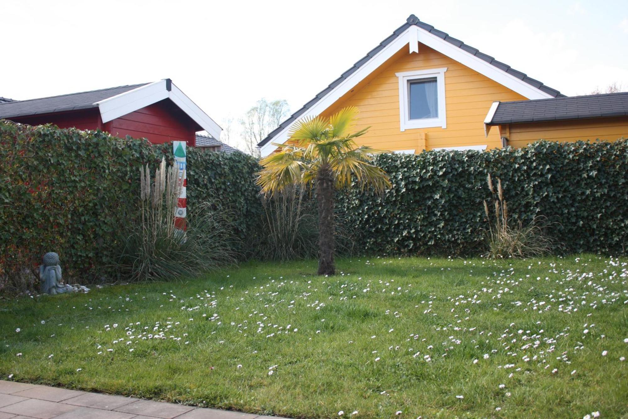 Villa Emilia - Gemütliches kinderfreundliches Blockhaus mit umzäuntem Garten Sint Annaland Exterior foto